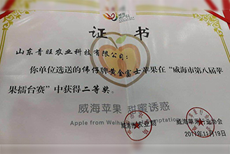 苹果荣誉证书